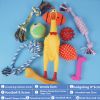 10-piece set of assorted dog toys