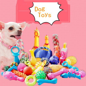 10-piece set of assorted dog toys