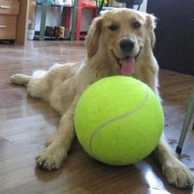 9.5 inch big tennis ball for large breed dogs