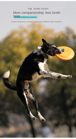 Bite-resistant dog training Frisbee (Color: Blue Large (235mm))