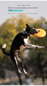 Bite-resistant dog training Frisbee (Color: Yellow large (235mm))