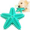 starfish dog vocal toy