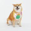 Purr-fect Style: Pet Triangle Bandana