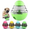 Food Dispenser Interactive Puppy Slow Feed Tumbler Ball