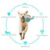 multifunctional dog toy Foldable Ball Outdoor Training Ball