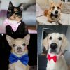 Dogs Accessories Pet  Dog  Necklace Adjustable Strap for Collar Pet Dog Bow Tie Puppy Bow Ties Dog Pet Supplies